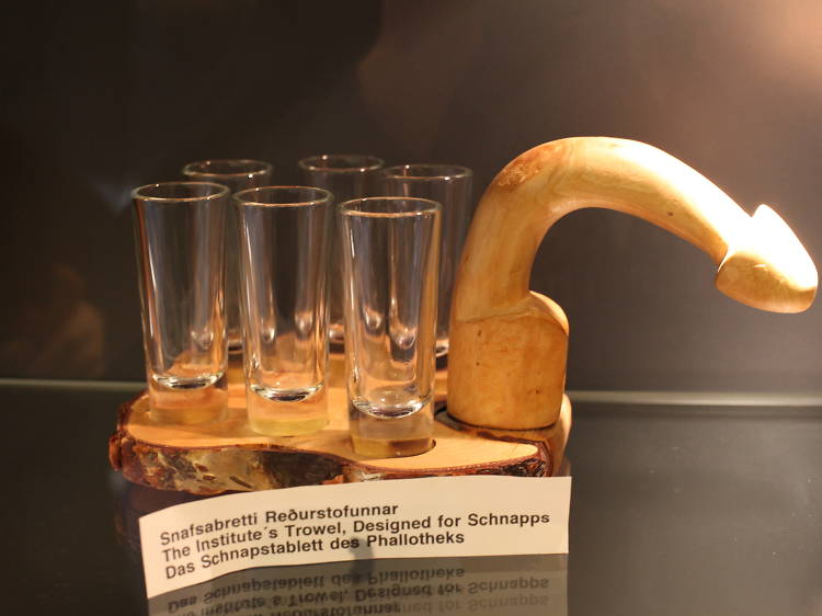 Icelandic Phallological Museum