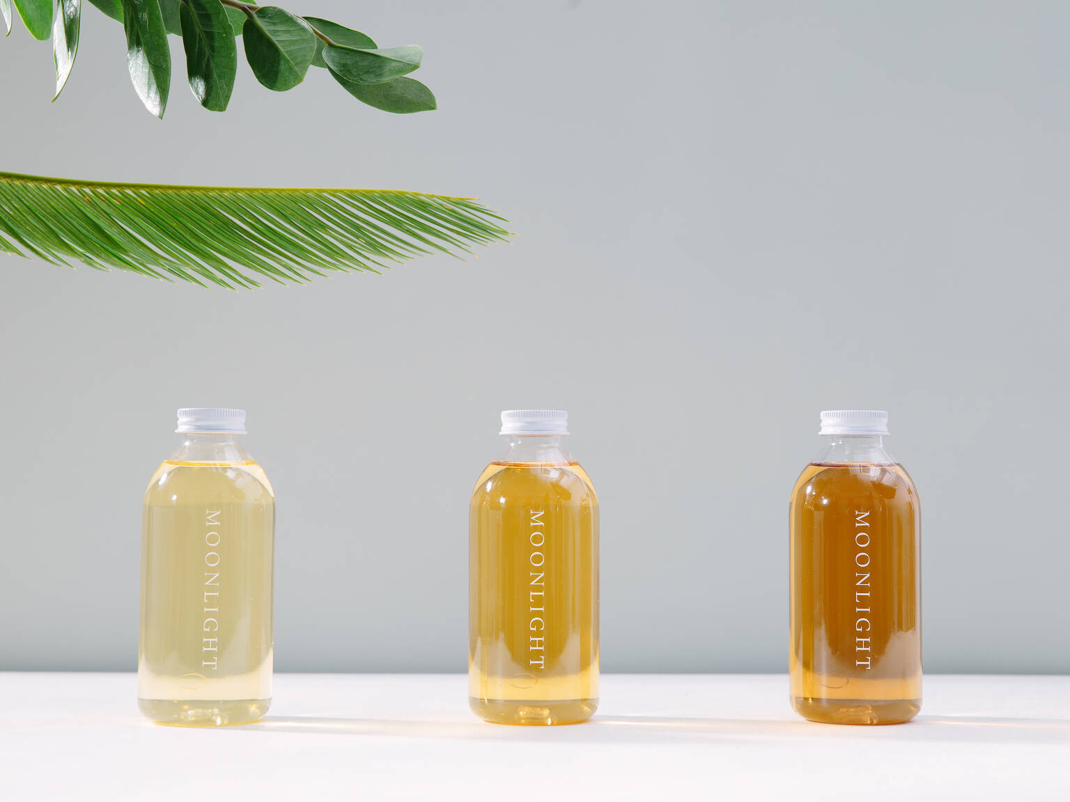 Quiet Hong Kong cafés with free wifi to do work in — Time Out Hong Kong