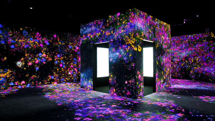 Flower Forest: Lost, Immersed and Reborn