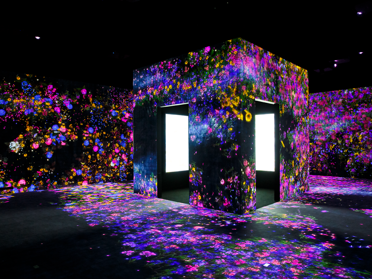 Flower Forest: Lost, Immersed and Reborn