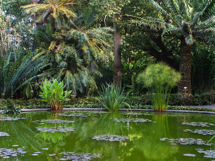 Take a breather at Jardin Botanico