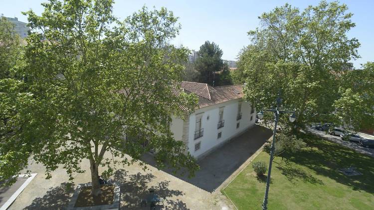 jardim dos corucheus