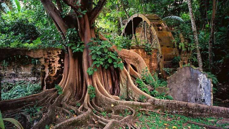 Delve into Saint Lucia’s history at Balenbouche