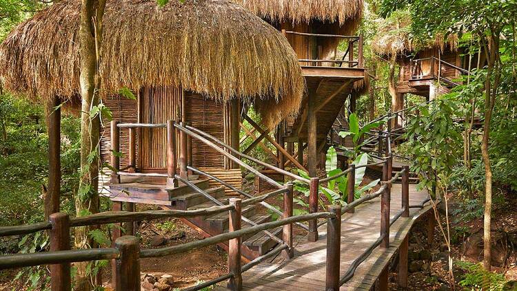 Relax with a massage in the treetops