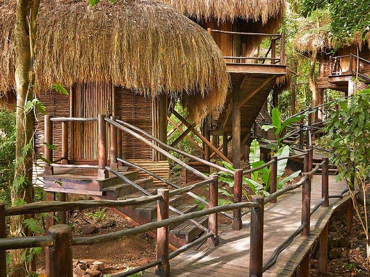 Relax with a massage in the treetops