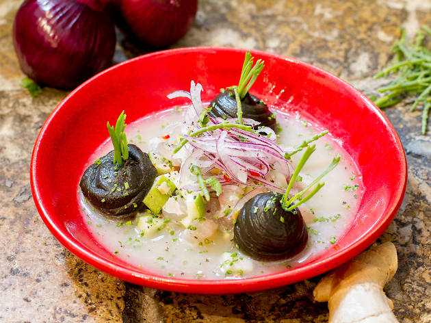 Ceviche de corvina do Zazah Ceviche de corvina do Zazah