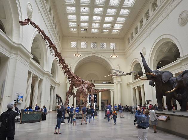 10 Best Chicago Museums You Should Explore Today