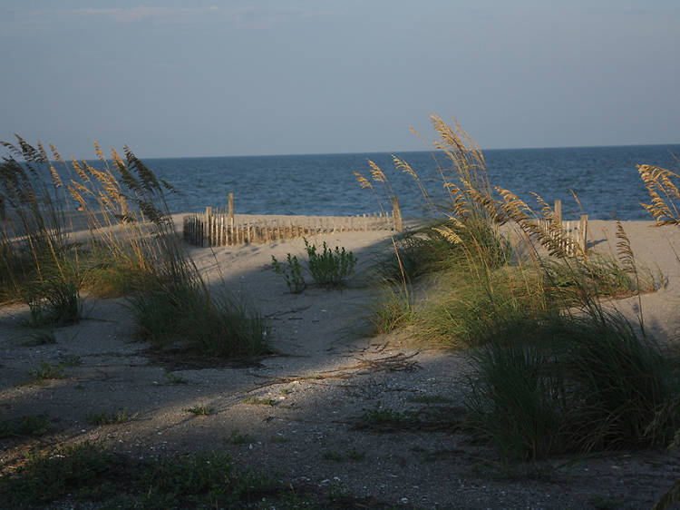 best beaches south carolina