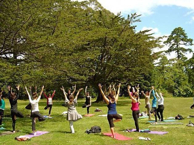 Vinyasa Yoga en Parque Juan Carlos I Vinyasa Yoga en Parque Juan Carlos I