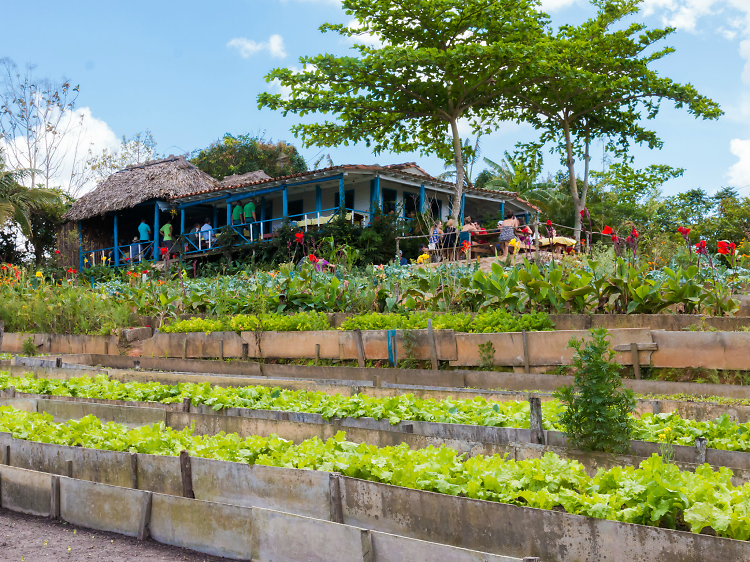 Finca Agroecologica El Paraiso