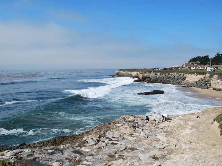 Things to Do in Santa Cruz 11 Essential Attractions and Activities