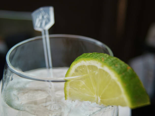 Gin and tonic, for Schweppes campaign Gin and tonic, for Schweppes campaign