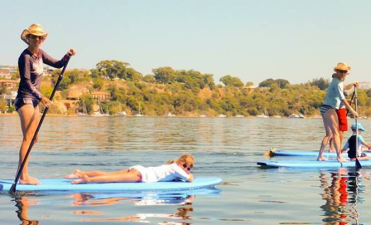 Splash around with Stand Up Paddle Boarding