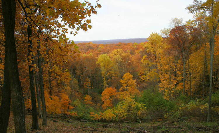 Brown County State Park