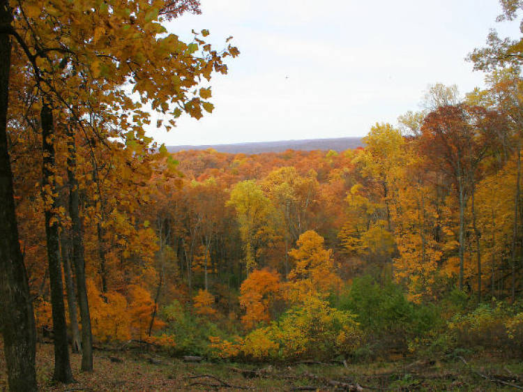 Brown County State Park