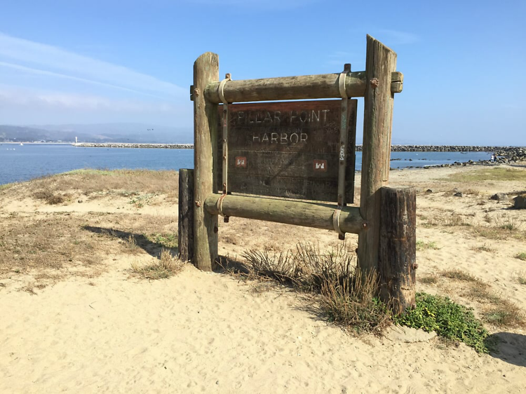What is Half Moon Bay Known For? A Local's Take - Bay Area Telegraph