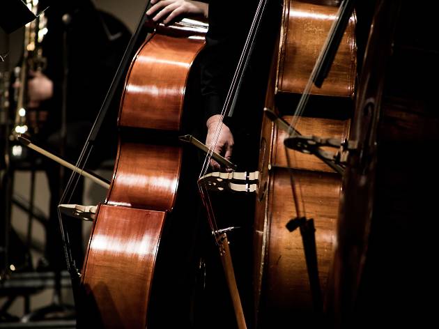 Violoncelo Violoncelo