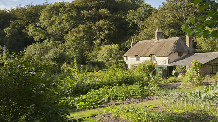 Hardy’s Cottage 