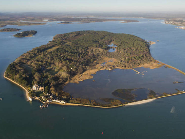 Brownsea Island 