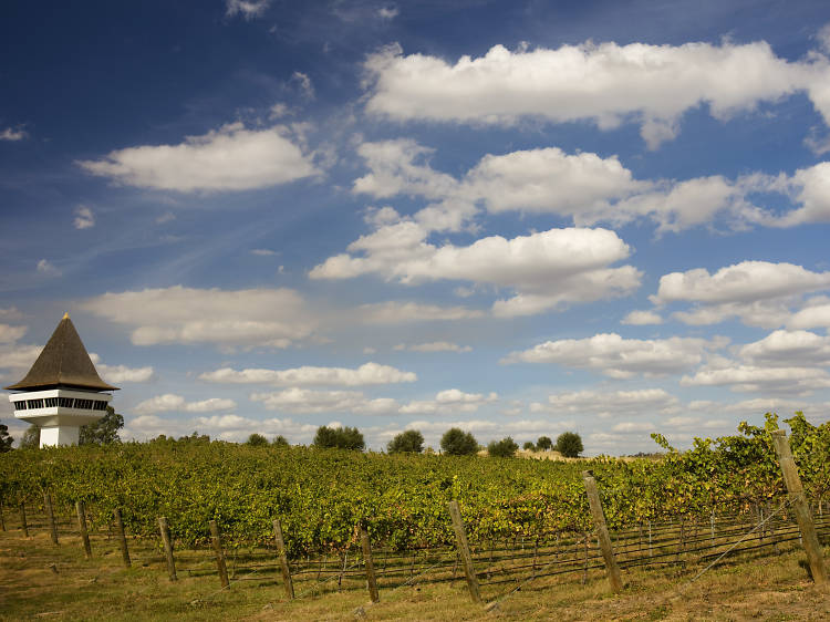 Mitchelton Winery