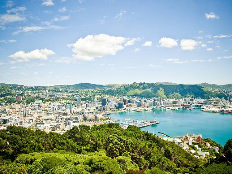 View of Wellington from Mount Victoria, New Zealand