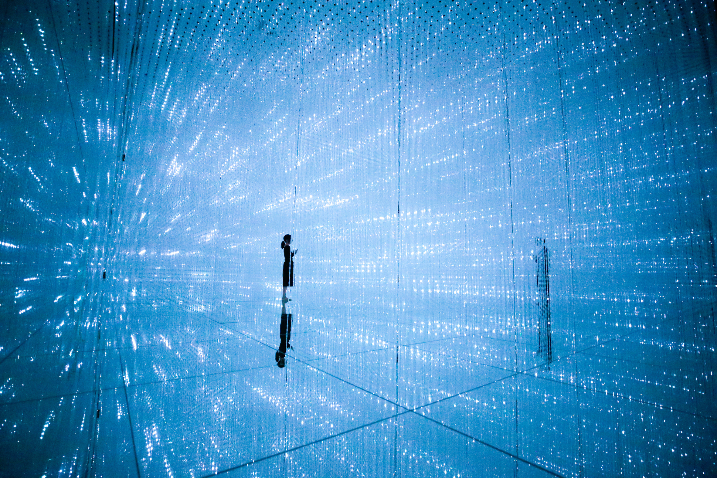 Discover TeamLab Planets: Garden Area in Japan 2