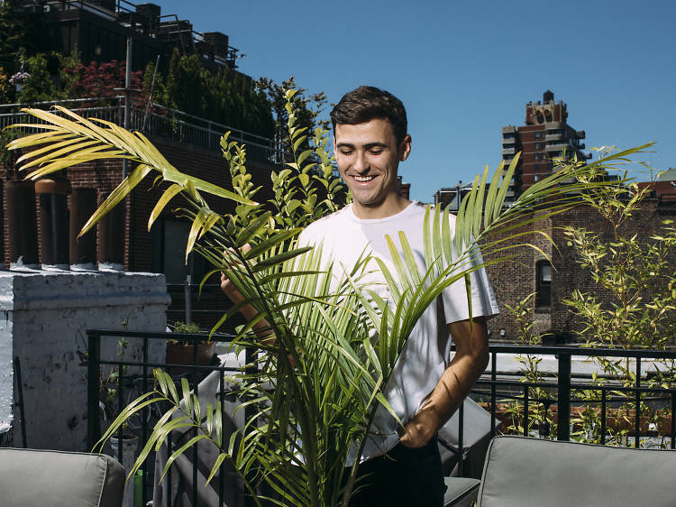 Why New York millennials are so in love with plants