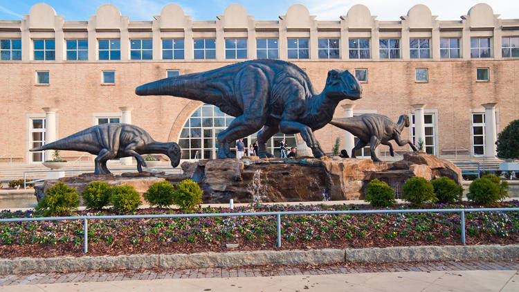 Fernbank Museum of Natural History