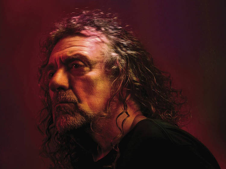 robert plant