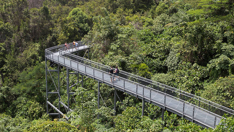 The best hiking trails in Singapore