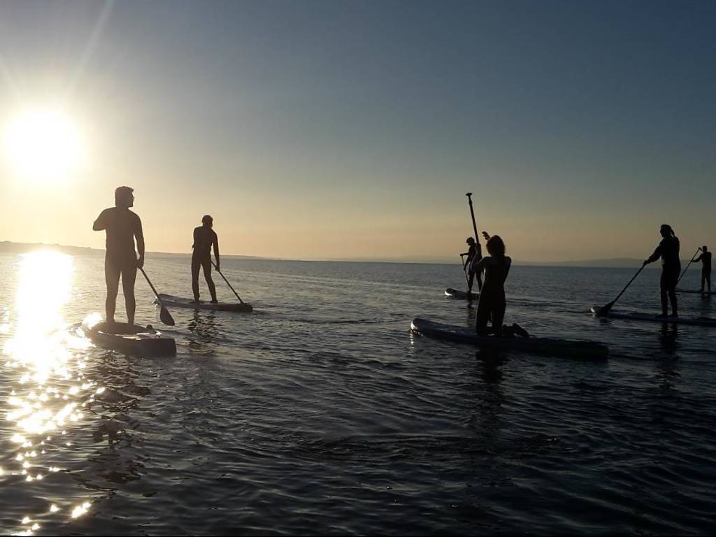 10 Best Things To Do in the New Forest in 2023