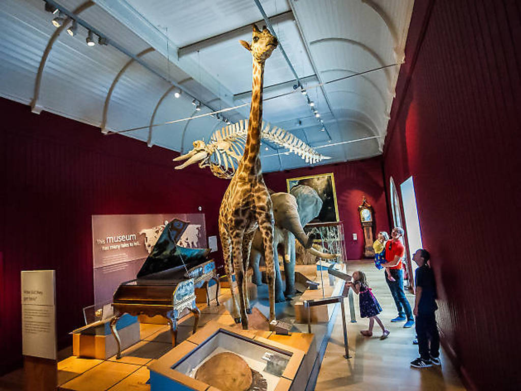Best Things To Do in Devon | 13 Awesome Attractions