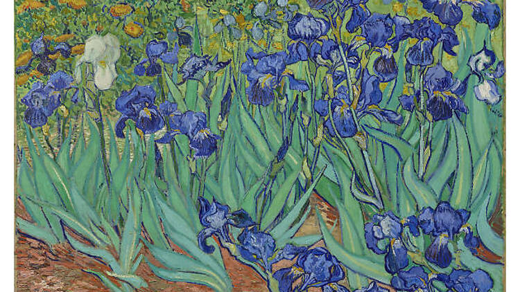 Vincent van Gogh, Irises, 1889