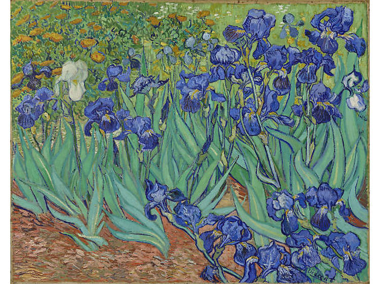Vincent van Gogh, Irises, 1889