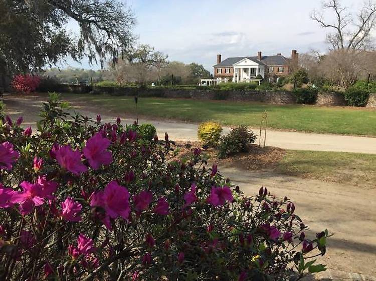 Boone Hall Plantation 