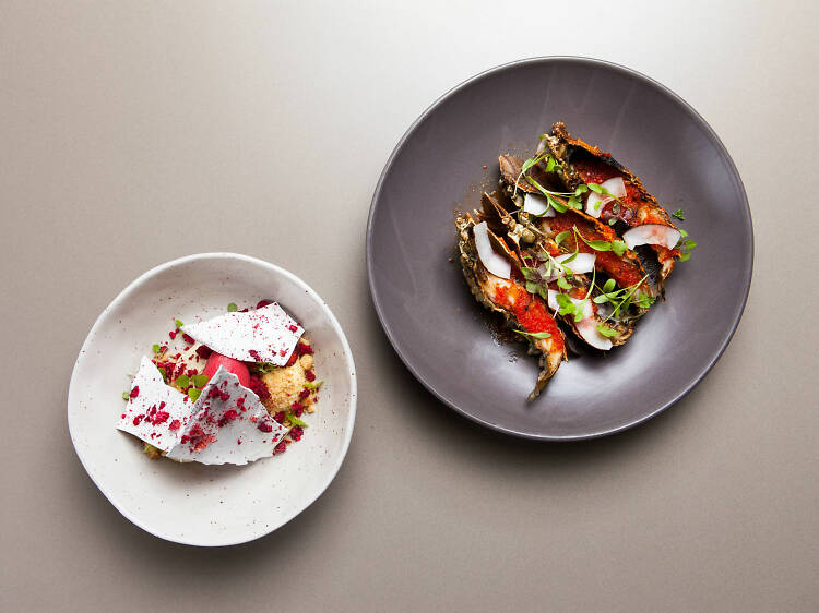 The best restaurants in Brisbane