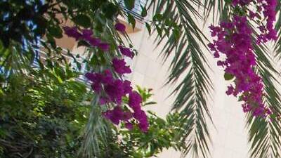 Hotel Las Arenas Hotel Las Arenas