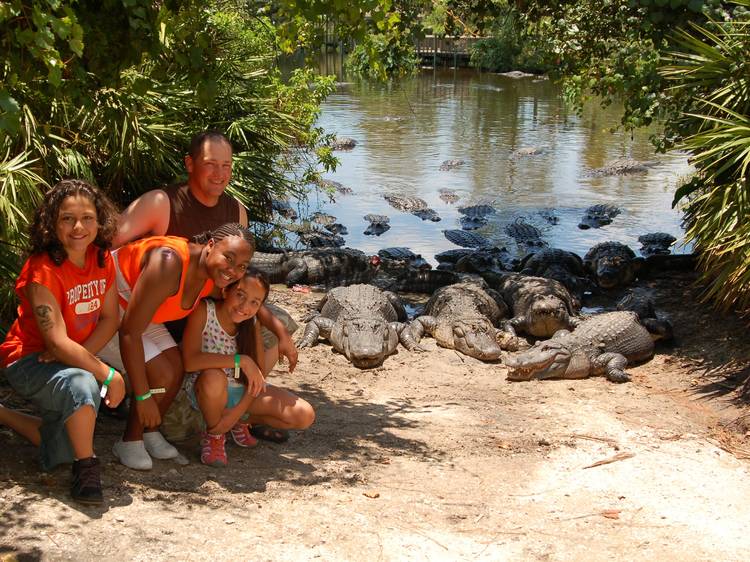 Gatorland