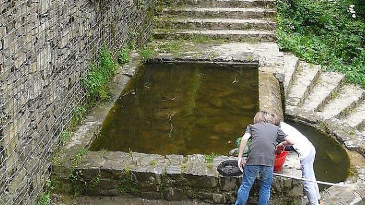 Frescura en la Font de la Budellera