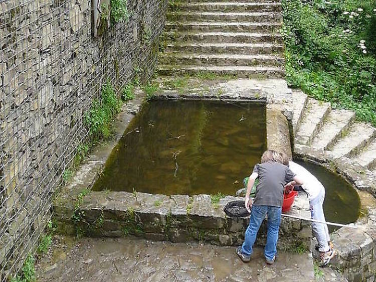 Frescura en la Font de la Budellera