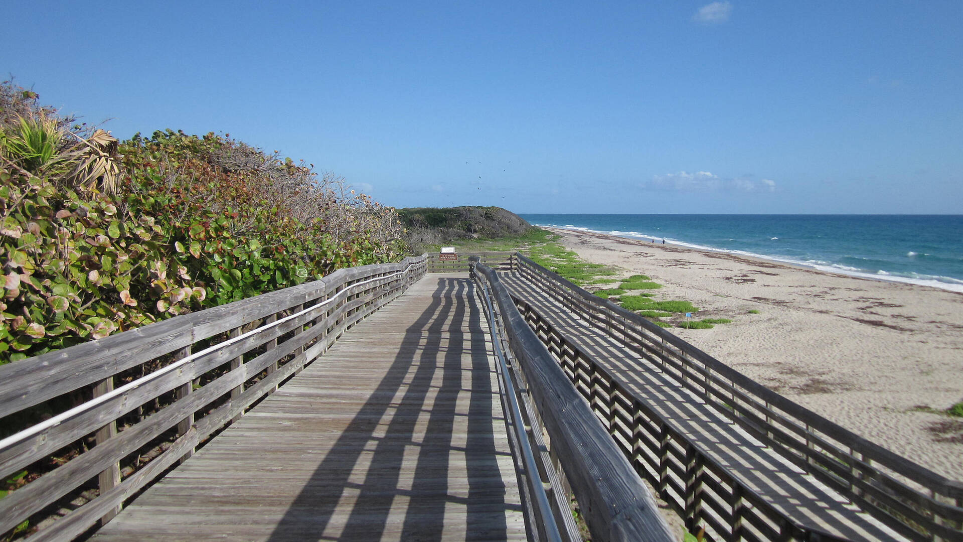 Best Things to do In West Palm Beach | 12 Great Attractions