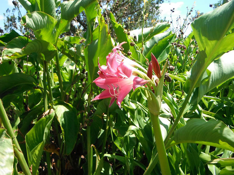 Botanical Gardens