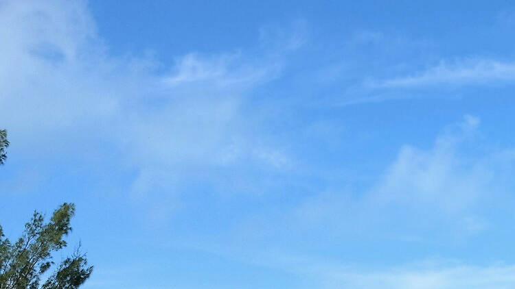 Cliff diving at Admiralty House Park