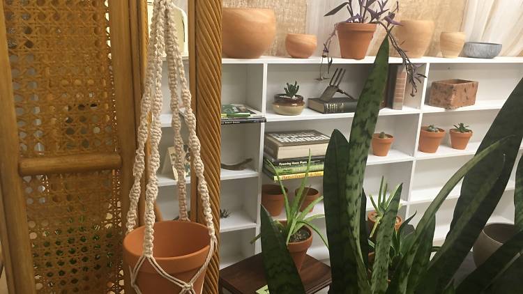 Inside store of plants and ceramics.