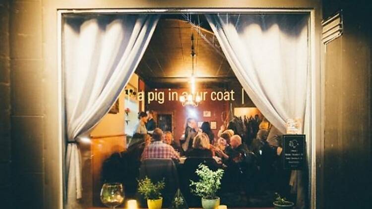 A Pig in a Fur Coat 	