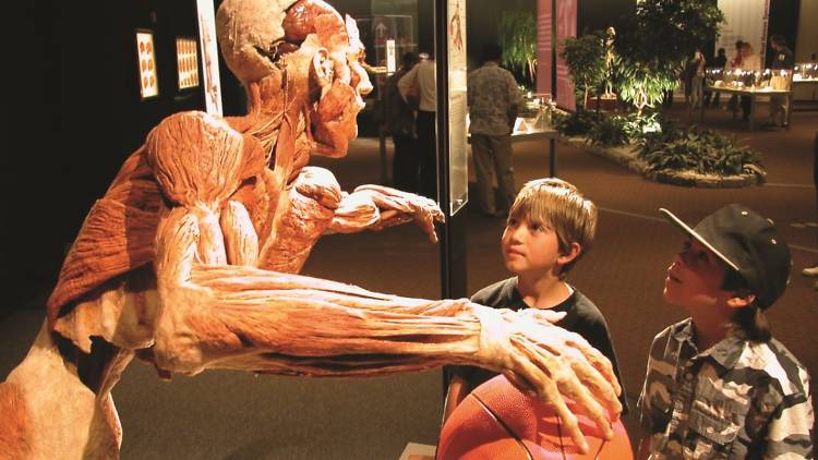 Body Worlds: Vital