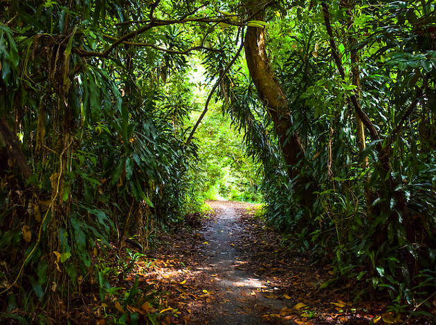 18 Best Cycling Trails And Routes In Singapore