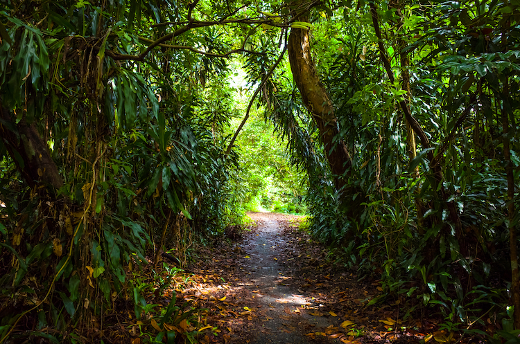 dirt bicycle trails near me