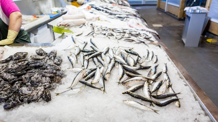 mercado do lumiar (Banca da peixaria A Fresquinha)