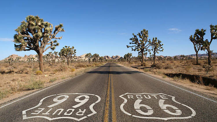 Route 66